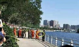 清河最新爆料视频,事件真相再引热议