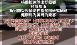 成都网约车最新爆料,揭秘最新政策影响与应对策略